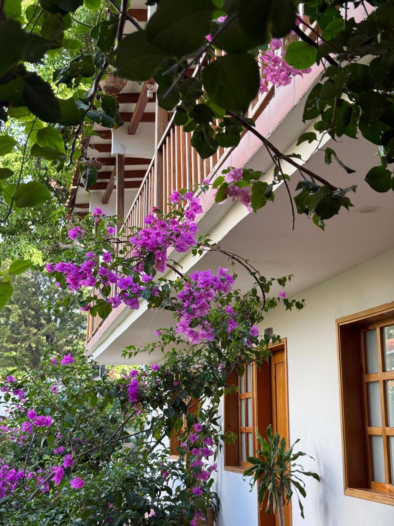 Hotel Jardin Boutique Rodadero Санта Марта Екстериор снимка
